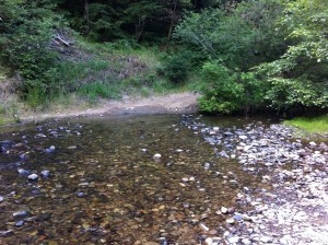 Fire road stream crossing
