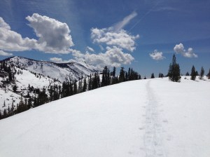 Making our way down Tioga Pass